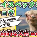 【2ch動物スレ】ダチョウ「時速６０キロで１時間走れます、５キロ先の物を認識、異常に高い免疫力」←超ハイスペックなダチョウの致命的な欠点www