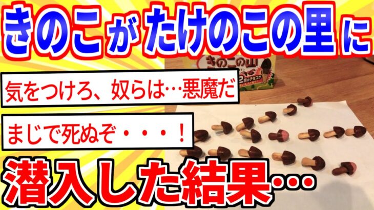 【2ch面白いスレ】キノコ派がたけのこの里に潜入した結果…【ゆっくり解説】