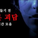 [일본 괴담 몰아보기] 번역 괴담 모음｜2ch/5ch 몰아듣기 3탄 (1시간)