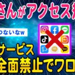 【2ch面白いスレ】中国がアクセス規制してるネットサービス一覧がこちらww【ゆっくり解説】