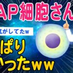 【2ch面白いスレ】STAP細胞さんやっぱり凄かったww【ゆっくり解説】