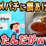 【2ch面白いスレ】スズメバチ捕まえたｗ