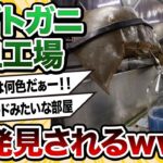 【2ch動物スレ】カブトガニの血を採取してる工場ワロタｗｗｗｗｗｗｗｗｗ