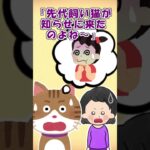 【2ch】豆大福を食ってたら、飼い猫がジーっと見つめてきた…【アニマル】 #Shorts