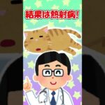 【2ch】野良猫が塀の上でウツラウツラしてたんだが…【アニマル】 #Shorts