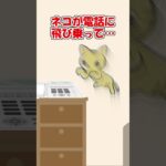 【2ch】猫から電話もらったことがある…【ほっこり】 #Shorts