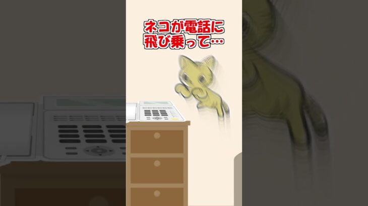 【2ch】猫から電話もらったことがある…【ほっこり】 #Shorts