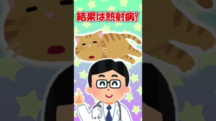 【2ch】野良猫が塀の上でウツラウツラしてたんだが…【アニマル】 #Shorts