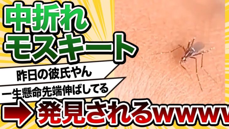 【2ch動物スレ】【虫・閲覧注意】蚊が硬すぎる皮膚に敗北するwwwwwあれ、おっかしいなぁ