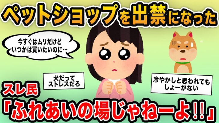 【報告者キチ】ペットショップを出禁になった！買うつもりがないのに毎日抱っこに来ないでって…→ドックカフェのように通うキチ登場！