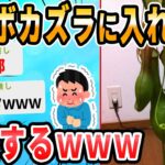 【2ch面白いスレ】ウツボカズラ買ったったｗｗｗｗｗｗｗｗｗｗｗｗｗ