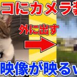 【2ch動物スレ】ネッコにカメラ装着して、庭で遊ばせる→衝撃の光景が広がるｗｗｗｗｗ