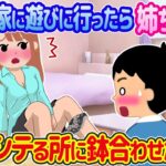 【2ch恋愛スレ】親友の家に遊びに行ったら姉ちゃんがシテる所に鉢合わせた結果wwwww