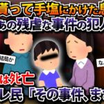 養子に貰って手塩にかけた息子はあの残虐な事件の犯人でした…報告者は死亡→スレ民「その事件…まさか」【2ch修羅場スレ・ゆっくり解説】