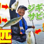 青物を3匹同時に釣る!｜神戸沖堤防ジギングサビキ