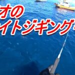 見えているカツオをジギング？で釣る　（高画質設定で見てください）