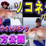 【スーパーライトジギング】ＳＬＪで真鯛連発！釣りビジョンＬｅｔ’ｓ ｔｒｙソルトゲーム＃6/クレイジーオーシャンチャンネル