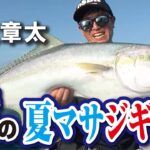 長崎県平戸の夏マサジギング