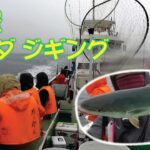 平塚 イナダ ジギング