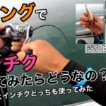 【ジギング】久しぶりのジギングで青物が爆釣！インチクとジグはどっちが釣れるのか？