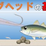 【アジングで使うジグヘッド】（座学）初心者の方におすすめのテクニック。それぞれのジグヘッドの使い方が分かります。
