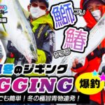 【伊勢湾ジギング】真冬の簡単ジギング 鳥羽の極旨青物連発！