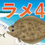 【ヒラメ（平目）】釣り方入門編 生態と場所ポイントとタックル