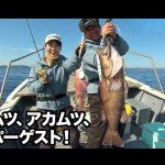 【おとな釣り倶楽部】浦神の中深海ジギング、キハダにアラに高級魚