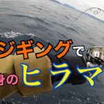 春の青物ジギングをしていたらまさかのヒラマサ
