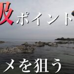 【サーフ#２】サーフ素人がヒラメを釣るまでの軌跡 【サーフショアジギング】