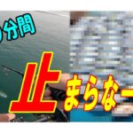 １２０分間入れ食いモード！　瀬戸内海ジギング。