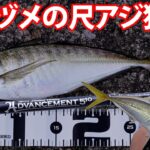 【アジング】尺アジ回遊狙いの基本～家邊克己（やべ・かつみ）