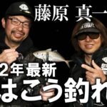 ガンクラフト × 藤原真一郎 × アジング  超 最新 鯵 の 釣り方