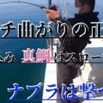 スロージギング、ナブラ撃ち、乗っ込み真鯛はタイラバよりもスローで釣ろう！（No.40）