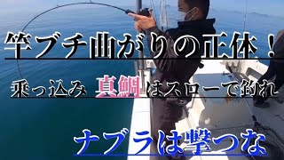 スロージギング、ナブラ撃ち、乗っ込み真鯛はタイラバよりもスローで釣ろう！（No.40）