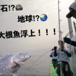 【スロージギング】超高級魚ツチホゼリが釣れた！巨大ハタとのファイト！【小笠原諸島 母島】Slow Jigging