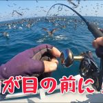 ベイトがわんさか！山陰ライトジギング爆釣劇！【２馬力ゴムボート釣行】