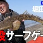 【堀田光哉】超絶ボイルに大興奮！鹿児島県吹上浜のサーフゲーム
