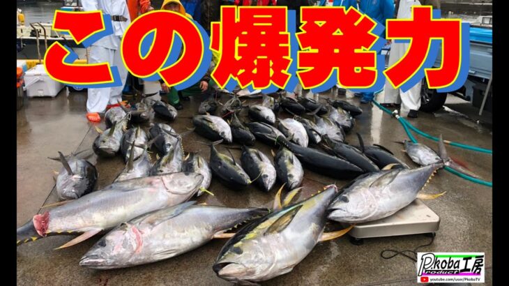 大物をこの手に！御蔵島キハダジギング【網代 森竜丸 御蔵島遠征ルアー】
