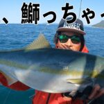 日本海でノッコミ真鯛を狙う！ジギングでもブリが～！！！