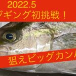 春のジギングで青物が連発 久々あの魚も登場 ジギング攻略 Youtebe動画まとめたサイト