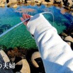【水深２m】大量の大アジの群れを見つけワームを入れた瞬間・・・　テトラ帯からアジングするリアルな夫婦  #海釣り #アジング  #夫婦