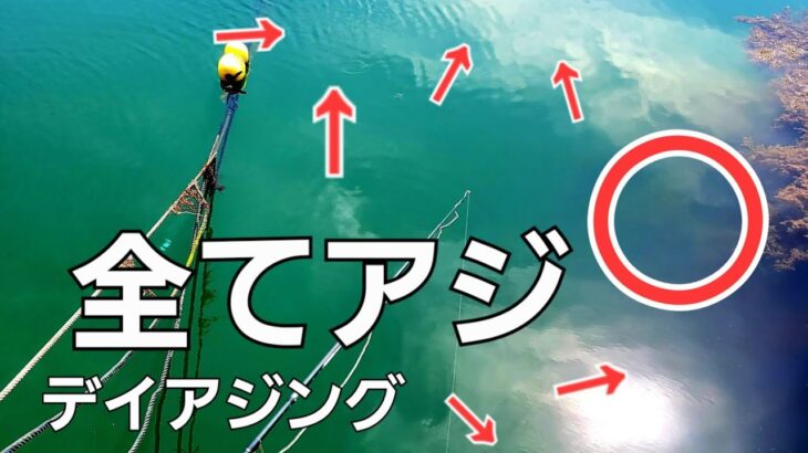 【アジング】釣れてる人はこっそり始めてる。する人しない人では今後の季節、釣果に差がでてきます。