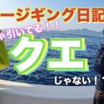 釣りのある暮らし　スロージギング日記＃６〜クエとイサキが釣りたい夫婦〜