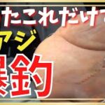【アジング】豆アジ完全攻略！！これすると釣果10倍！？ショートバイトでアジが掛からない時に試して欲しい裏技
