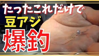 【アジング】豆アジ完全攻略！！これすると釣果10倍！？ショートバイトでアジが掛からない時に試して欲しい裏技