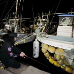 【夏アジング】常夜灯×船の間=良型が100匹