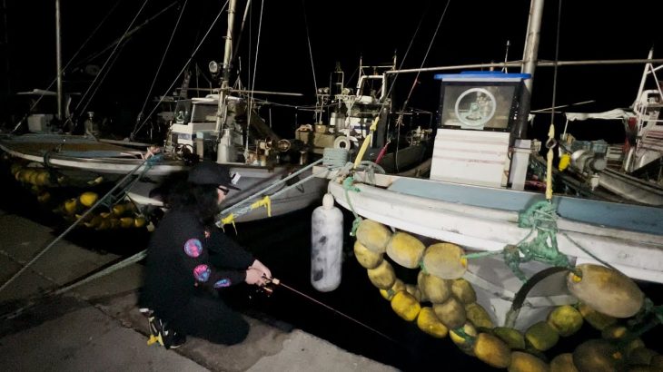 【夏アジング】常夜灯×船の間=良型が100匹