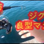 初夏の堤防からメタルジグで美味しいお刺身を狙う！真鯛・尺アジ。ジギングフルモン172