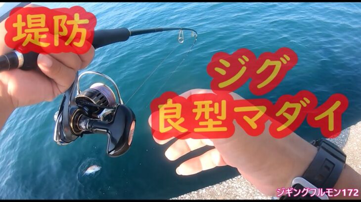 初夏の堤防からメタルジグで美味しいお刺身を狙う！真鯛・尺アジ。ジギングフルモン172